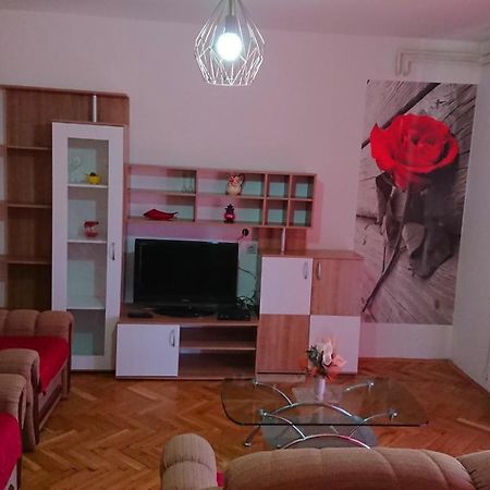 קמפור Apartments Vesna מראה חיצוני תמונה