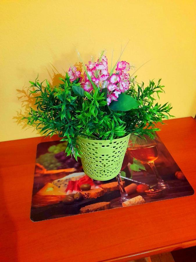 קמפור Apartments Vesna מראה חיצוני תמונה